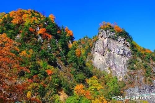 天大概多少开销旅游出行带走这篇爱游戏最新第一次来四川旅游三(图5)